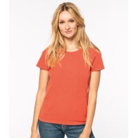 Native Spirit Ladies Faded T-Shirt Thumbnail