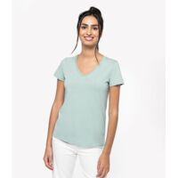 Native Spirit Ladies V Neck T-Shirt Thumbnail