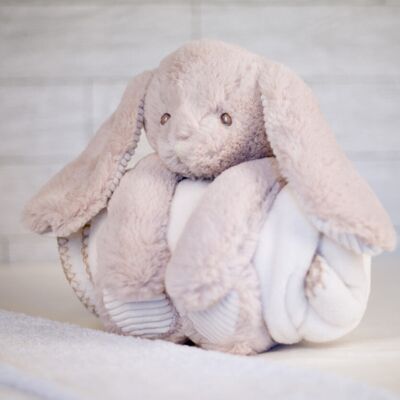 Rabbit and blanket Thumbnail